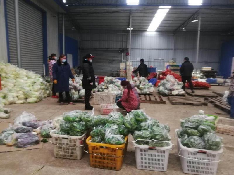 技術(shù)支撐 服務(wù)先行 武漢多措并舉保障快生菜供應(yīng)穩(wěn)定市場(chǎng)