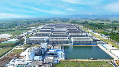 生豬產(chǎn)業(yè)勇闖關(guān) 探訪牧原股份宜昌軟件開(kāi)發(fā)中心